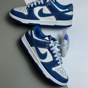 Giày-nike-sb-canvas-jean-1.webp